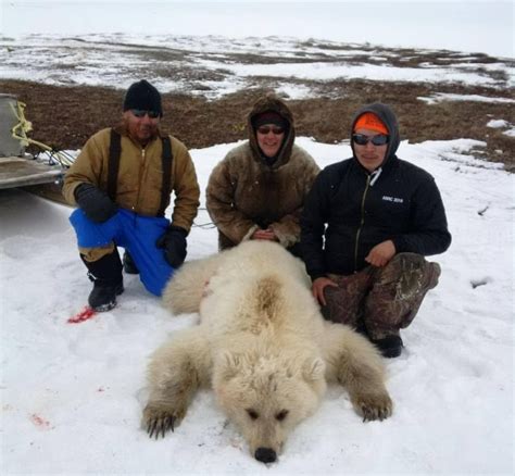 Grolar or pizzly? Experts say rare grizzly-polar bear hybrid shot in Nunavut | CBC News