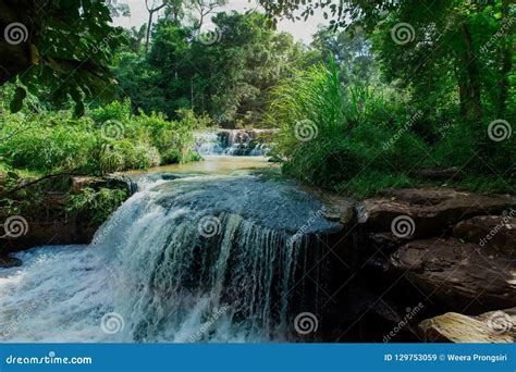 Waterfall, Spring - Flowing Water, Springtime, Forest, Woodland Stock ...