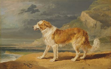 Collie Dog Vintage Painting Free Stock Photo - Public Domain Pictures