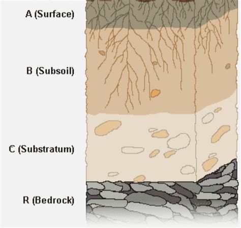 What is Bedrock? | CivilMint.Com