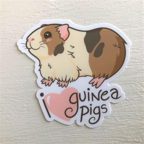 I Love Guinea Pigs Sticker Cute Decal Cavy Sticker Small Pet Sticker Rodent Sticker Guinea Pig ...