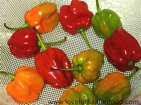 Piman Pike (Hot Pepper/Scotch Bonnet) – Love for Haitian Food