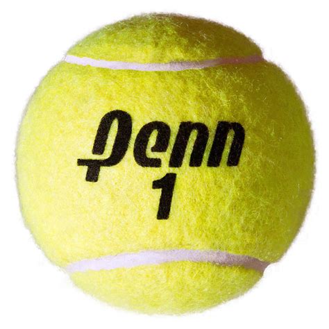 Penn Championship Tennis Balls, 20-pack - Racquets