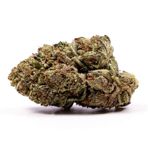 Gorilla King Indica Hybrid AAA - Kannabis Kulture