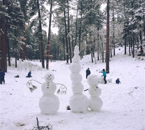 You Can Go Snow Tubing In Flagstaff At This Arizona Snow Park