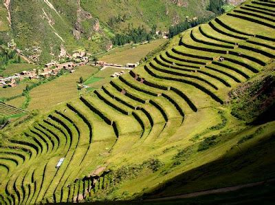 NephiCode: The Fortress of Pisac