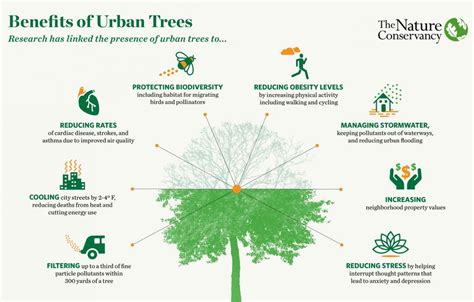 The benefits of urban trees | CNU