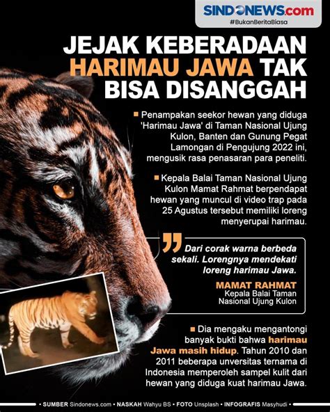 SINDOgrafis: Ahli Tegaskan Jejak Keberadaan Harimau Jawa Tak Bisa Disanggah