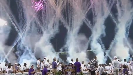 LSU baseball team national championship celebration