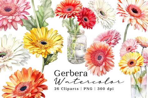 Gerbera Gerber Daisy Flowers Watercolor Graphic by lemonmoon · Creative Fabrica