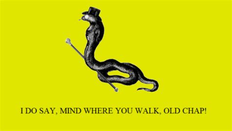 mind where you walk! | Gadsden Flag / Don't Tread On Me | Know Your Meme