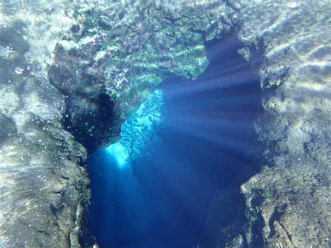 Snorkel Blue Hole | Florida State Parks