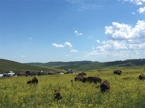 The Custer Trail Challenge - Unnamed Adventures