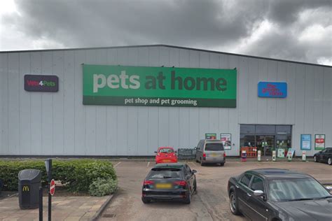 Dundee pet shop staff locked doors after gang of NINE-year-olds shouted, swore during riot and ...