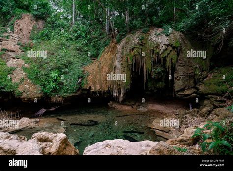 A cave in the jungle in bonito brazil Stock Photo - Alamy