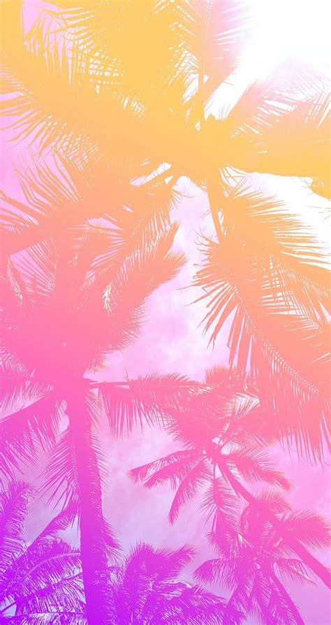 Pink Palm trees. Tree iphone, Pink iphone, Summer Palm Trees HD phone ...