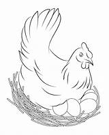Chicken Coloring Pages sketch template