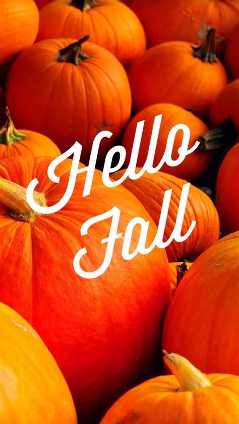 Hello Fall Wallpaper:) … | Iphone wallpaper fall, Hello autumn, Fall wallpaper