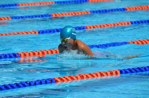 Free Images : swim, exercise, leisure, activity, swimmer, competition ...