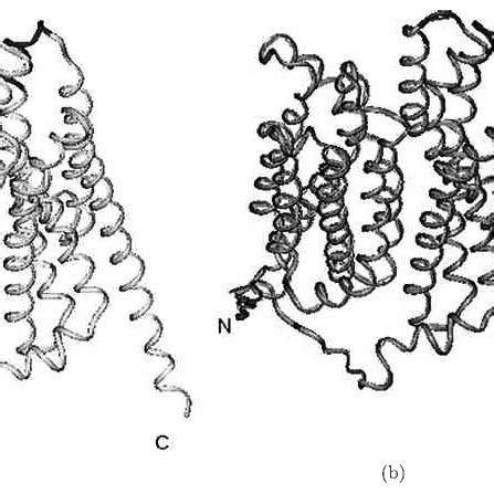 The lower part of the figure shows sketches of the " open to periplasm ...