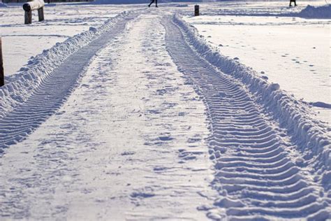 Fresh Tracks from the Tractor in the Snow in Winter Stock Image - Image ...