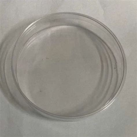 80 mm (dia) Plate Glass Petri Dish at Rs 290 in Vadodara | ID ...