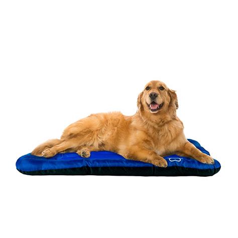 The Best Dog Cooling Mats of 2018 | PawGearLab