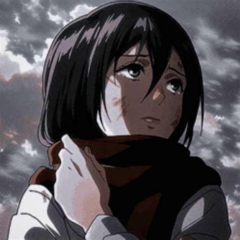 Mikasa Ackerman Aesthetic Icon Aot Pfp / Attack on titan, titans in the ...