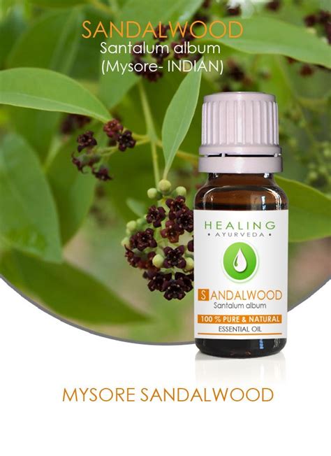 Mysore Sandalwood oil Pure Sandalwood essential oil Indian