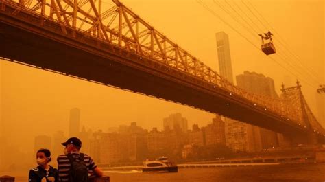 Smoke from Canadian fires causes flight disruptions in New York - World ...