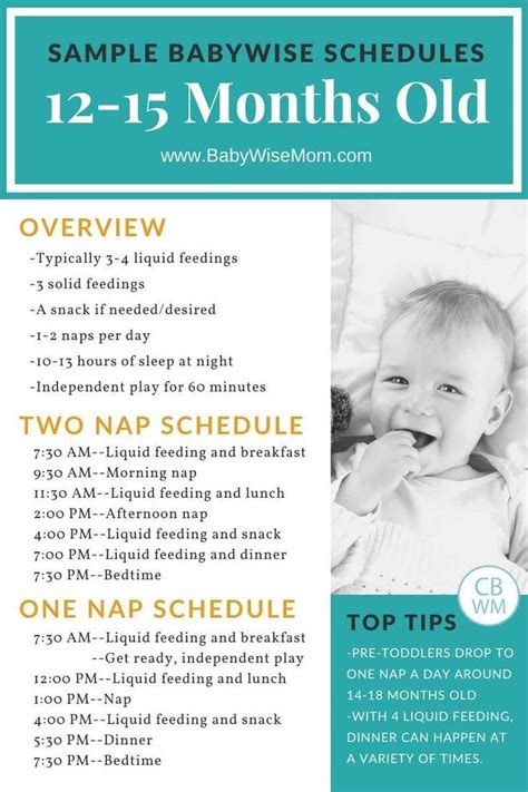 20+ New Born Schedule Sample | Babywise schedule, Baby schedule, Baby wise