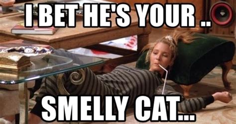 Friends: 10 Best Smelly Cat Memes