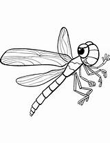 Flying Insects Coloring Pages sketch template