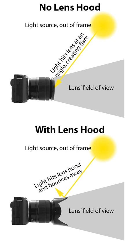 Why use a lens hood? | Photography basics, Digital photography lessons, Learning photography