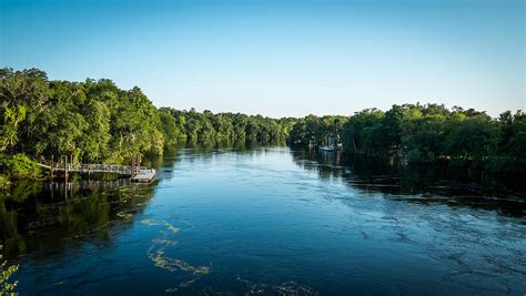 Suwannee River Photograph by Louis Ferreira