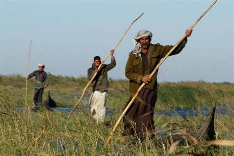 Saddam's Regime Dried Up the Famous Arab Marshes - World Water Atlas