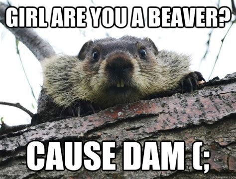 Image - Dumb beaver meme..jpg | The Lord of the Rings Minecraft Mod Wiki | FANDOM powered by Wikia