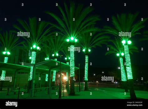 Los Angeles, California, USA 12th January 2023 Palm Trees at Zoo Lights Aglow at LA Zoo on ...