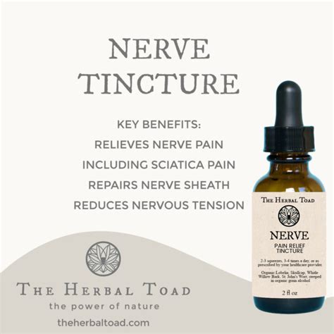 Herbs For Nerve Pain - The Herbal Toad