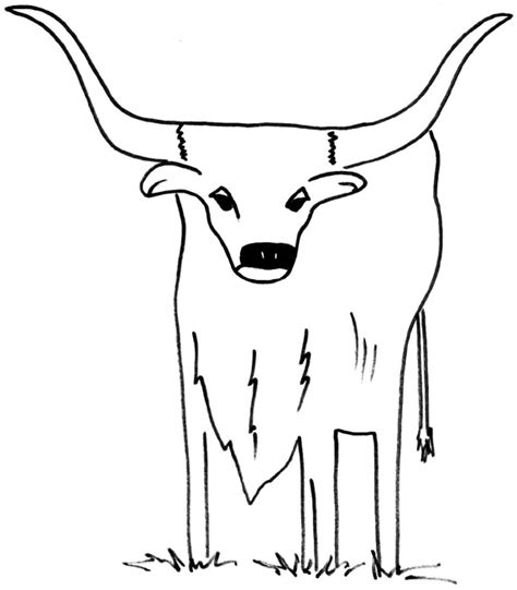 Longhorn Skull Drawing at GetDrawings | Free download