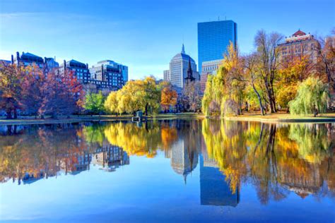 630+ Boston Fall Foliage Stock Photos, Pictures & Royalty-Free Images ...