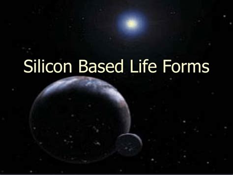 Silicon Based Life Forms