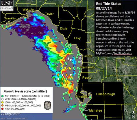 Red Tide Florida 2018 Map - Maping Resources