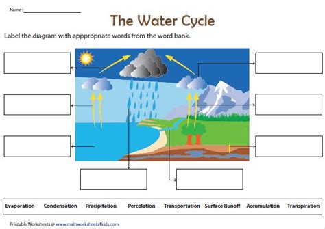 Describe the Water Cycle by Using a Labelled Diagram