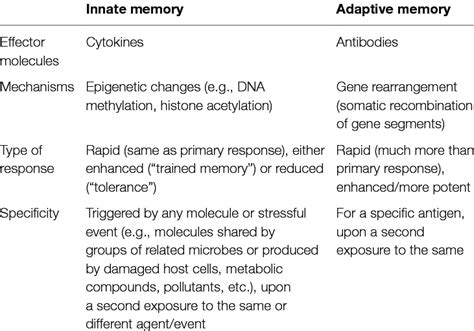 Innate Vs Adaptive Immunity Table