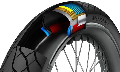 Dunlop presenta i nuovi Trailmax Meridian e Mutant - Motociclismo