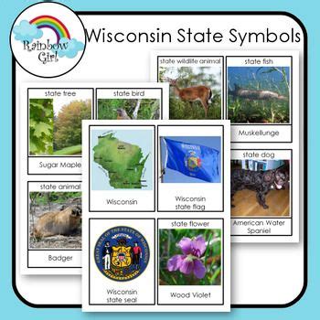 Wisconsin State Symbols cards | State symbols, Wisconsin state, Symbols