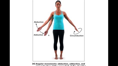 Chapter 8.4.2 Synovial Joint Movements BIO201 - YouTube