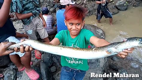 Malaking igat (Eel)(Kasili), ang nahuli namin sa sapa,( Big Eel hunt in the river) - YouTube