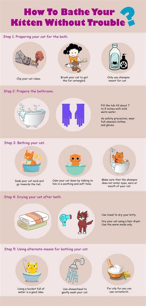 Veterinarian-Approved Advice on How to Bathe a Cat - wikiHow